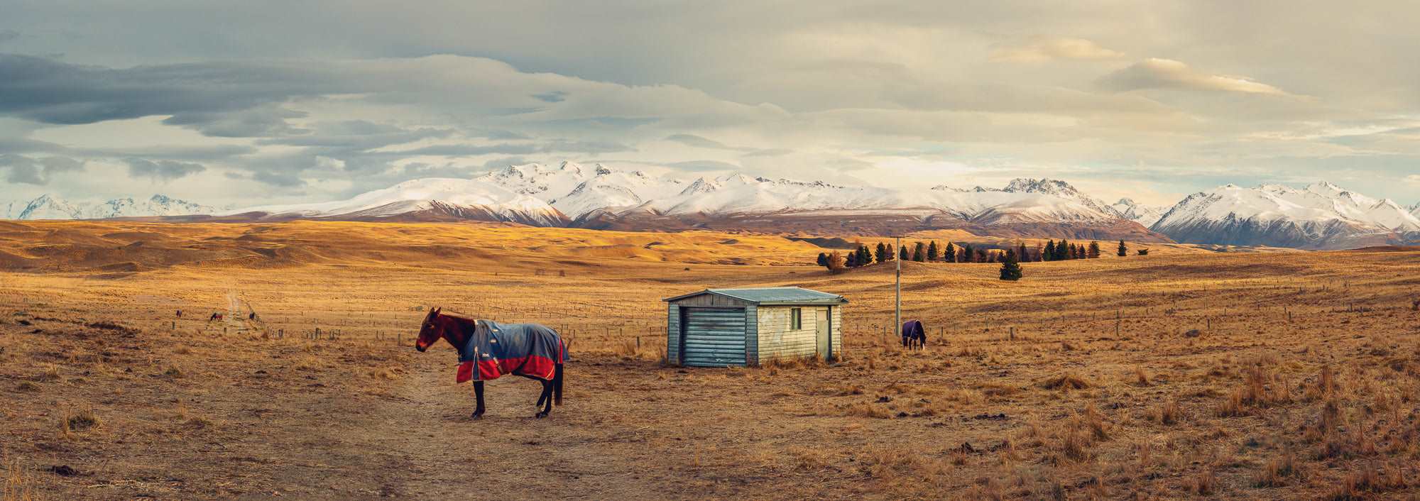 Ethereal Morning: Ben Ohau's Awakening - by Award Winning New Zealand Landscape Photographer Stephen Milner