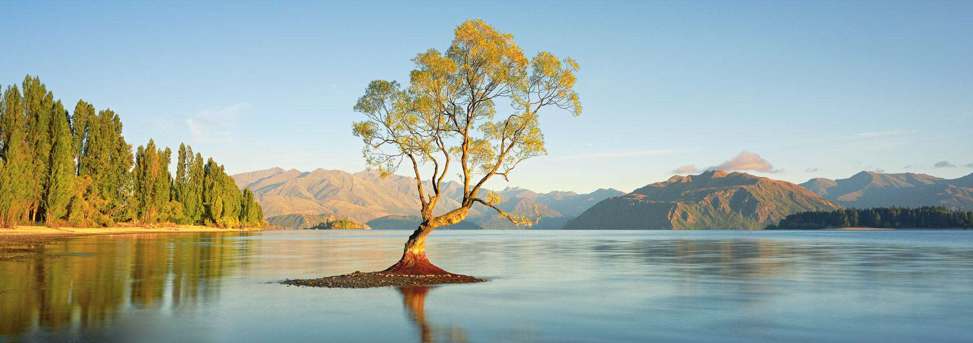 Solitude in Gold - Lake Wanaka - by Award Winning New Zealand Landscape Photographer Stephen Milner