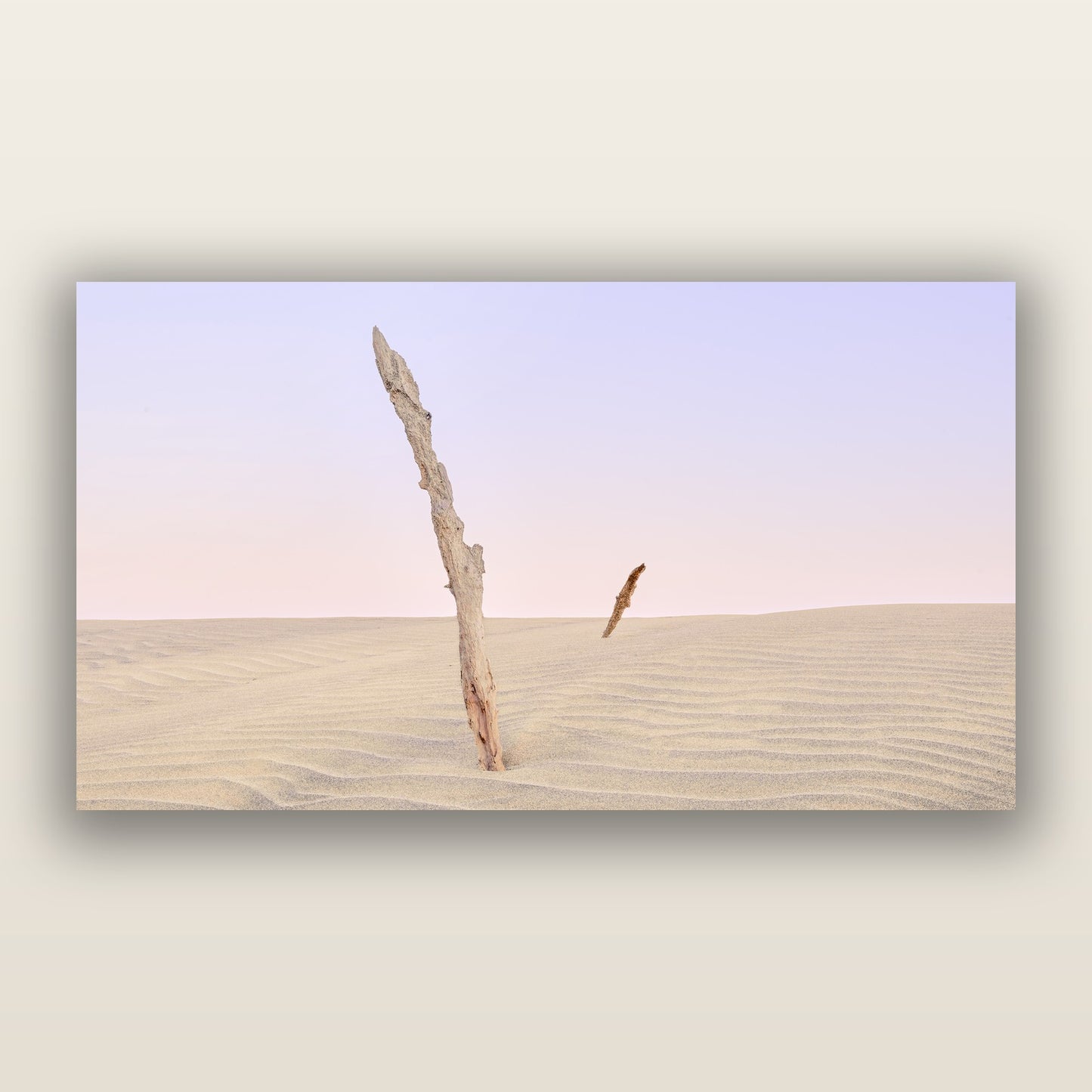 Desert Remnants, Pouto Peninsular — frameless acrylic glass print. New Zealand fine art landscape photography by Stephen Milner.