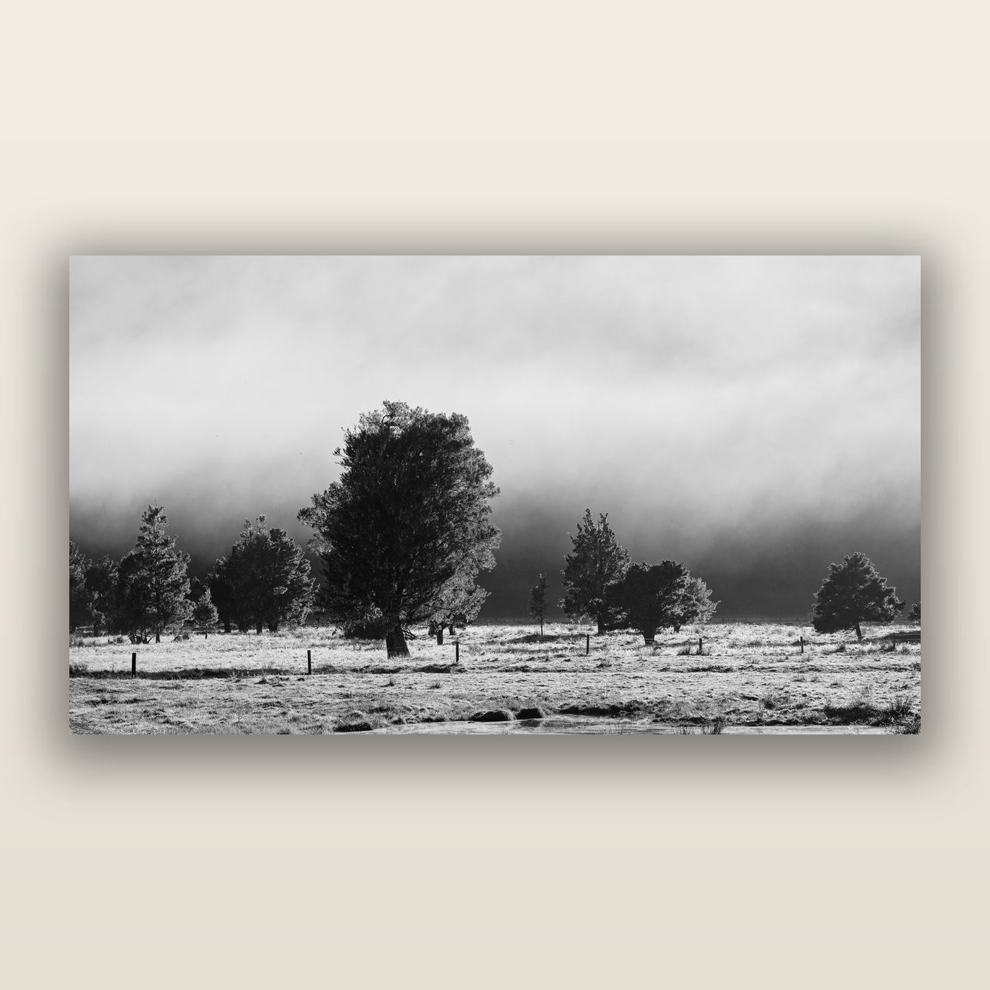 Morning Mist, Fox Valley, black and white frameless acrylic glass print. New Zealand fine art photography by Stephen Milner.