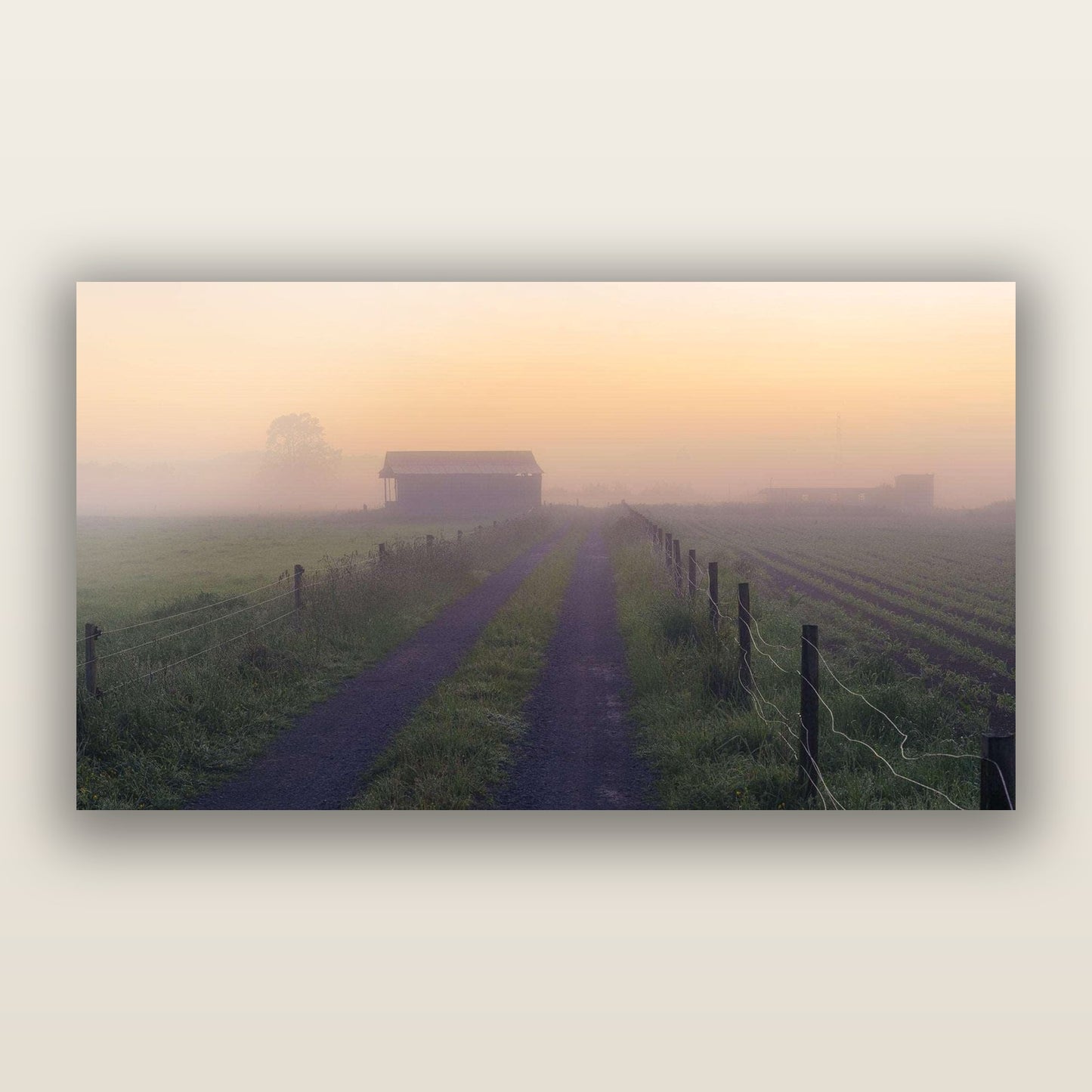 Field of Dreams, Waikato — frameless acrylic glass print. New Zealand fine art landscape photography by Stephen Milner.