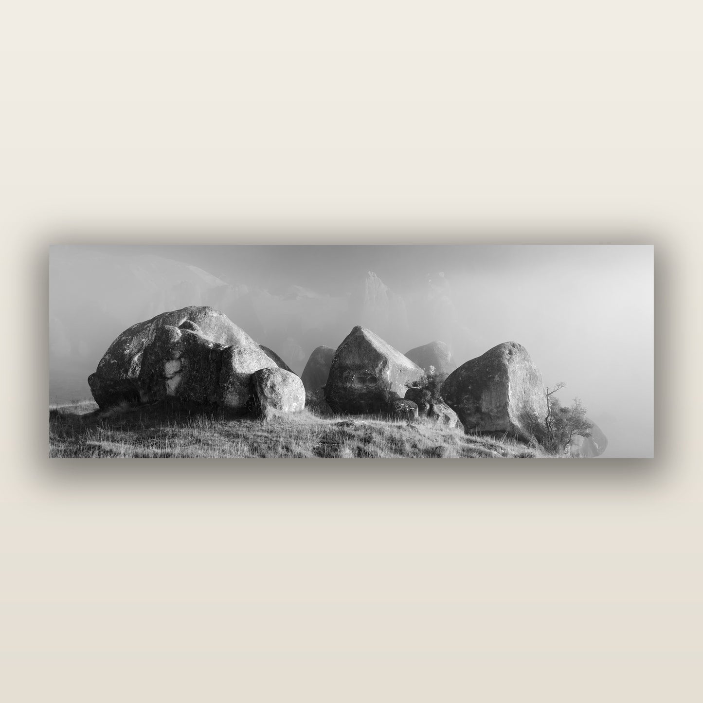 Sentinels in the Mist, Castle Hill — black and white frameless acrylic glass print. New Zealand fine art photography by Stephen Milner.
