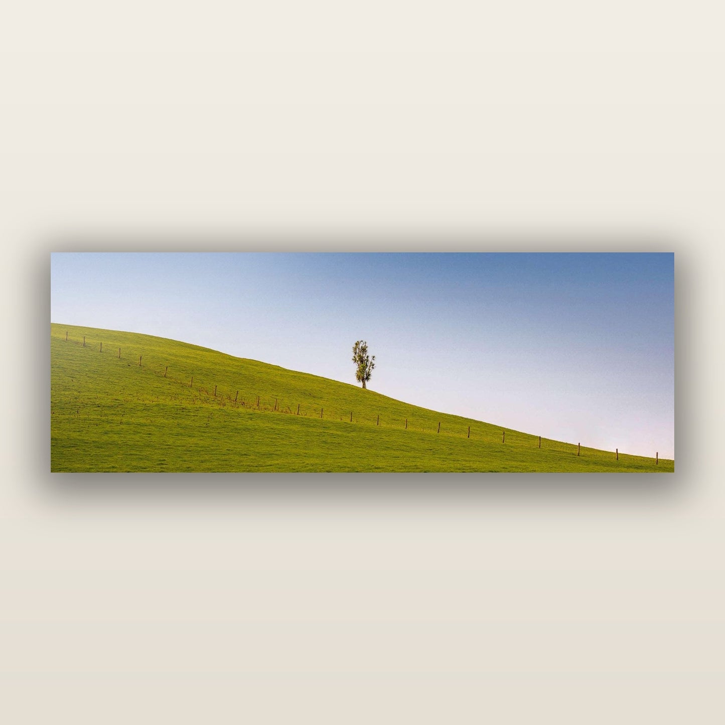 Solitary Sentinel, Cabbage Tree Serenity — frameless acrylic glass print. New Zealand fine art landscape photography by Stephen Milner.