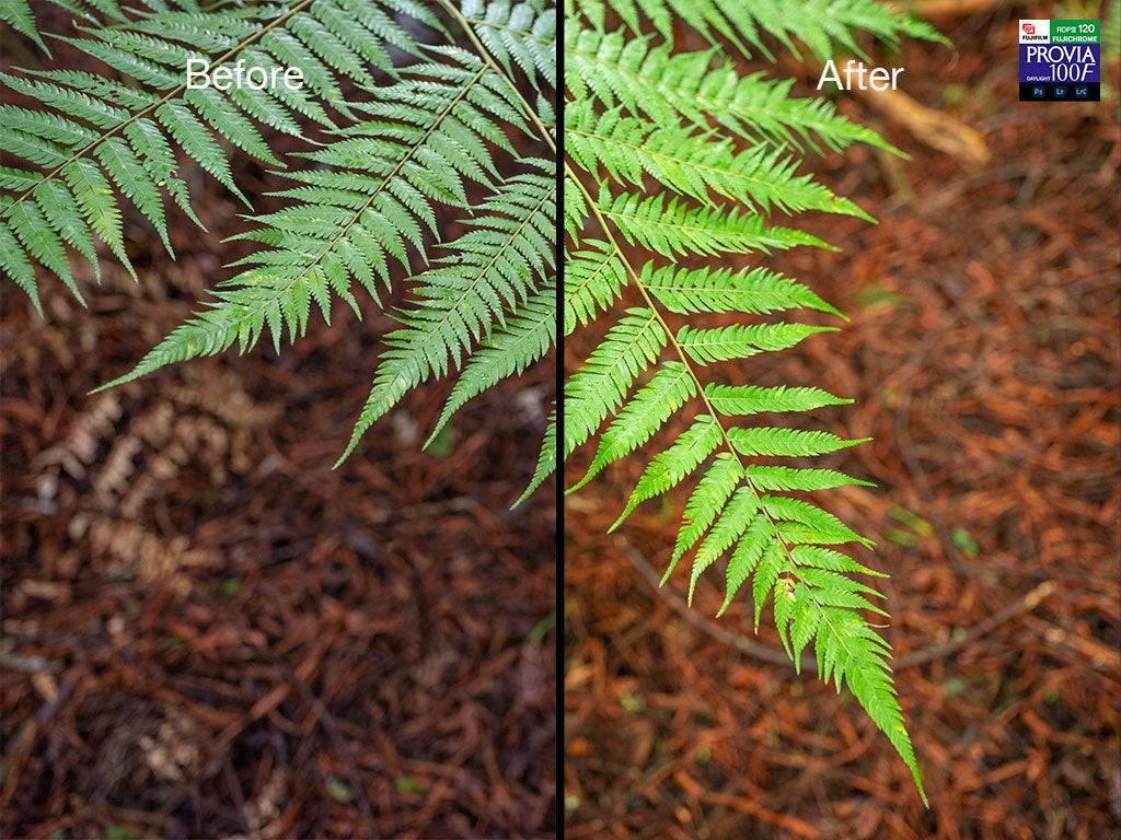 Photoshop and Lightroom Presets Slide Film Simulation Presets - by Award Winning New Zealand Landscape Photographer Stephen Milner