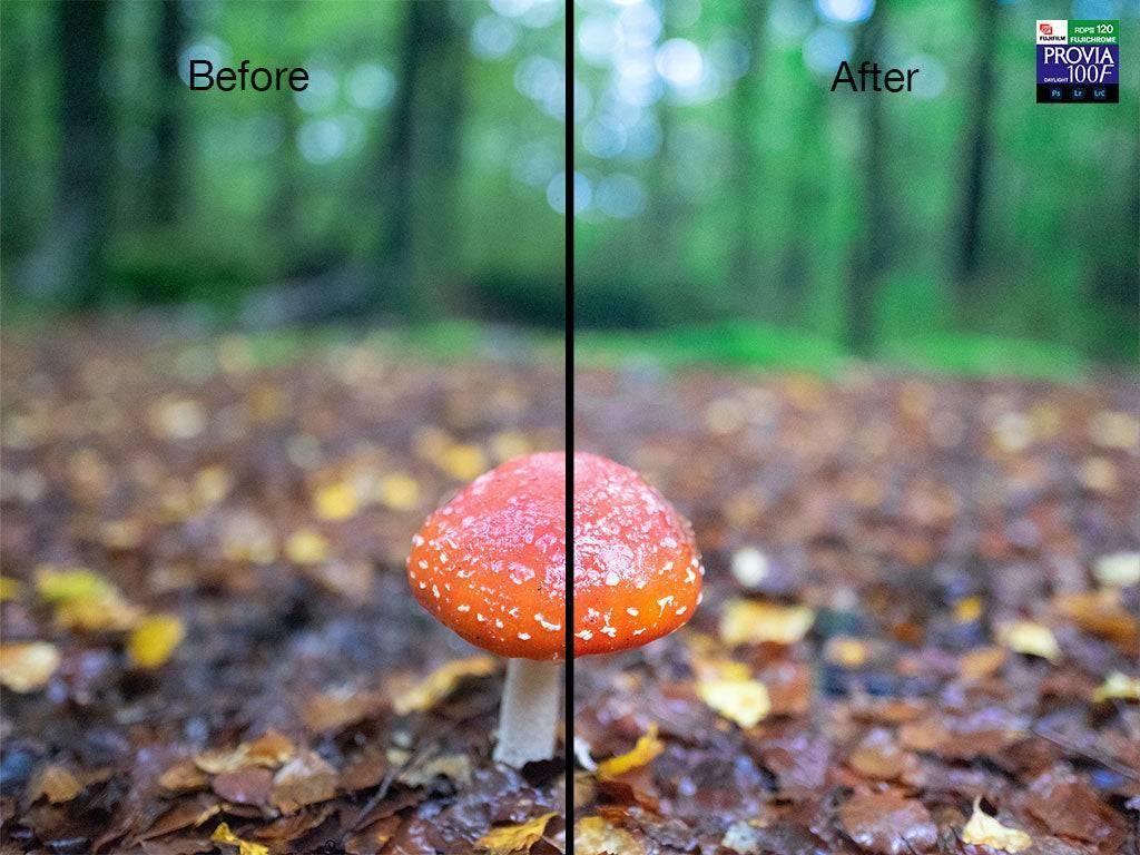 Photoshop and Lightroom Presets Slide Film Simulation Presets - by Award Winning New Zealand Landscape Photographer Stephen Milner