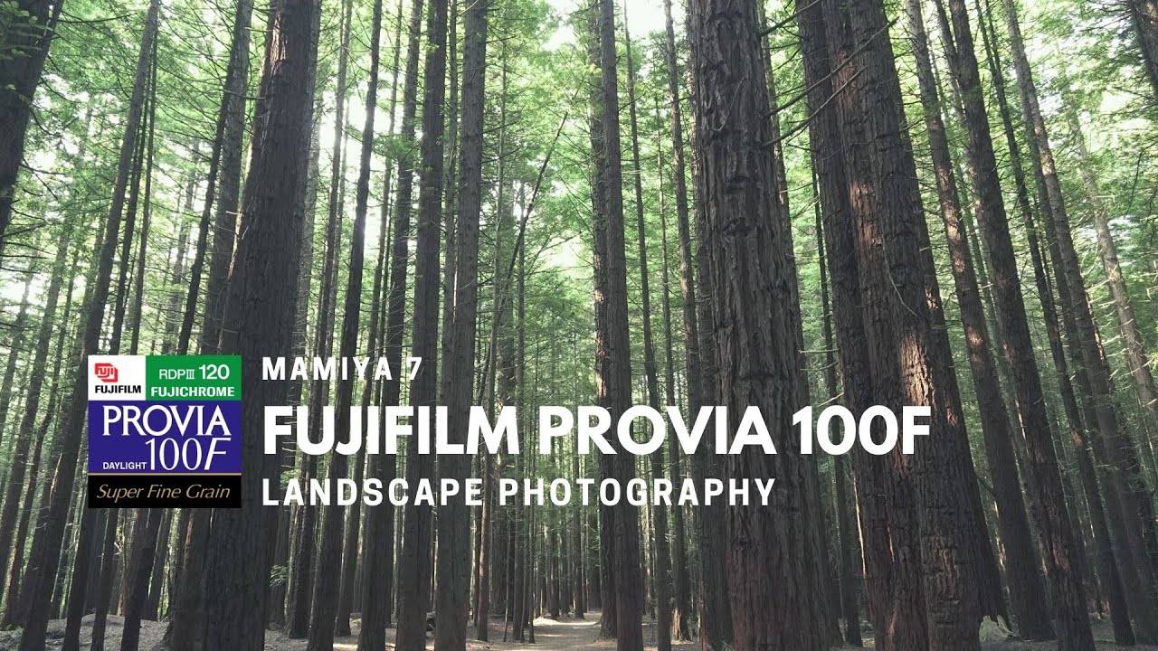 New Zealand Landscape Photographer Uses the Mamiya 7 and Provia 100F - Stephen Milner