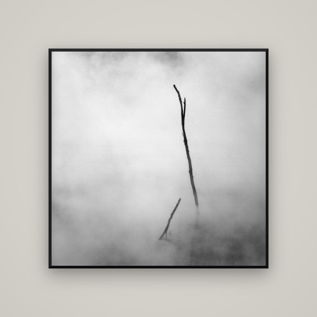 Ghostly Remains, Rotorua — Basel Black, 120×120 cm. New Zealand fine art wall art by Stephen Milner.