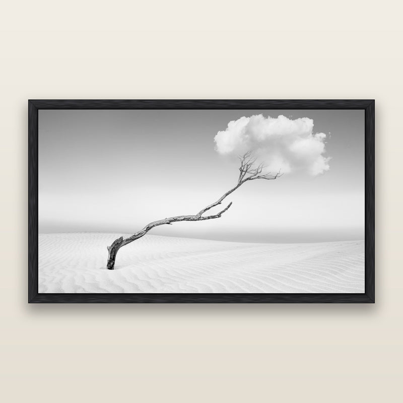 Holding On, Pouto Peninsula, black and white fine art print by Stephen Milner