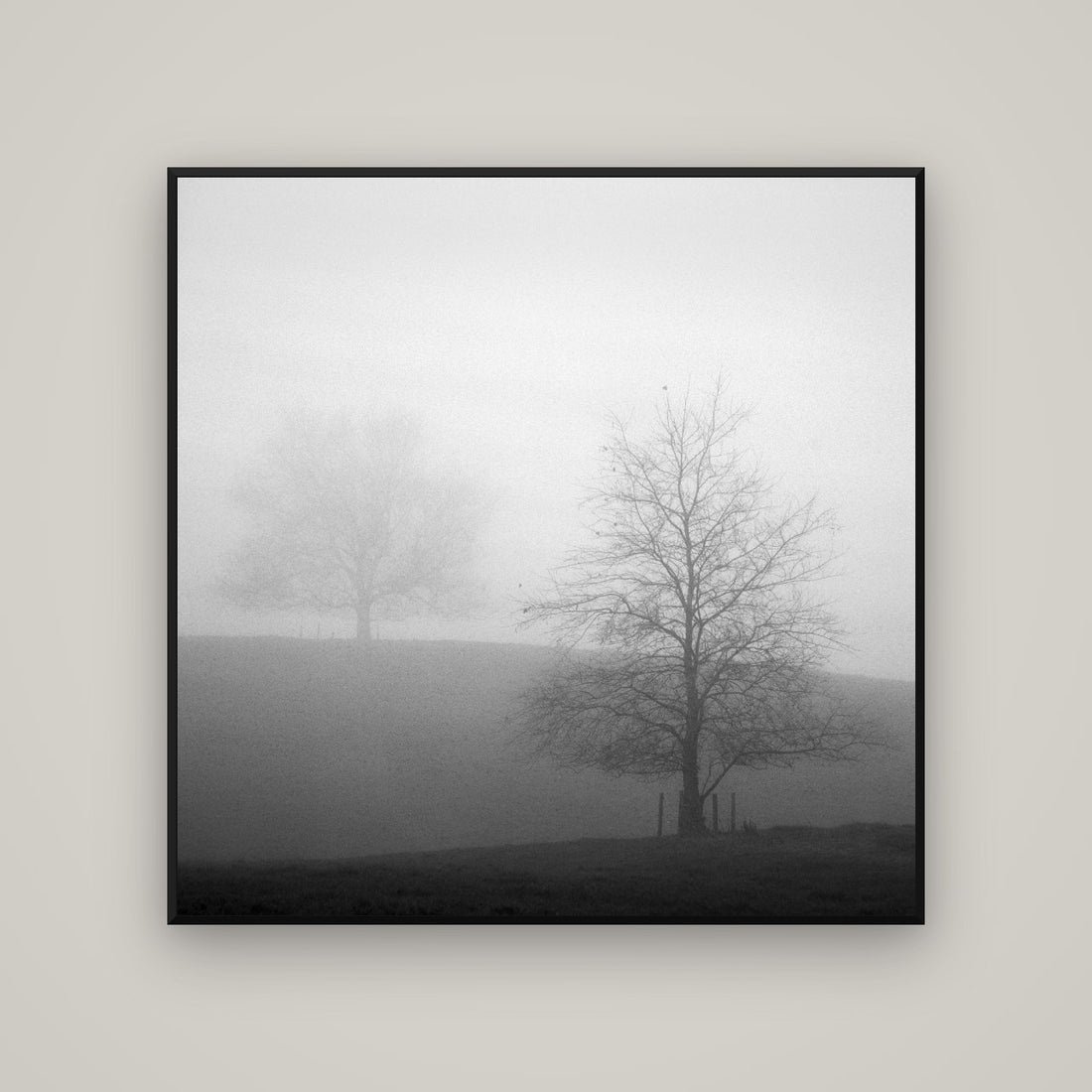 New Zealand Wall Art: Bringing the Landscape Home — WhiteWall framed fine art print by Stephen Milner.