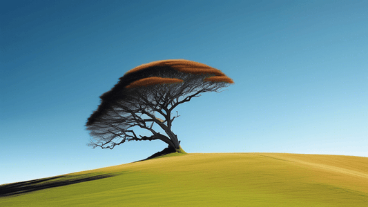 Vast, serene landscape of New Zealand with a lone, windswept tree on a grassy hill, under a clear blue sky, embodying the essence of minimalism in photography.