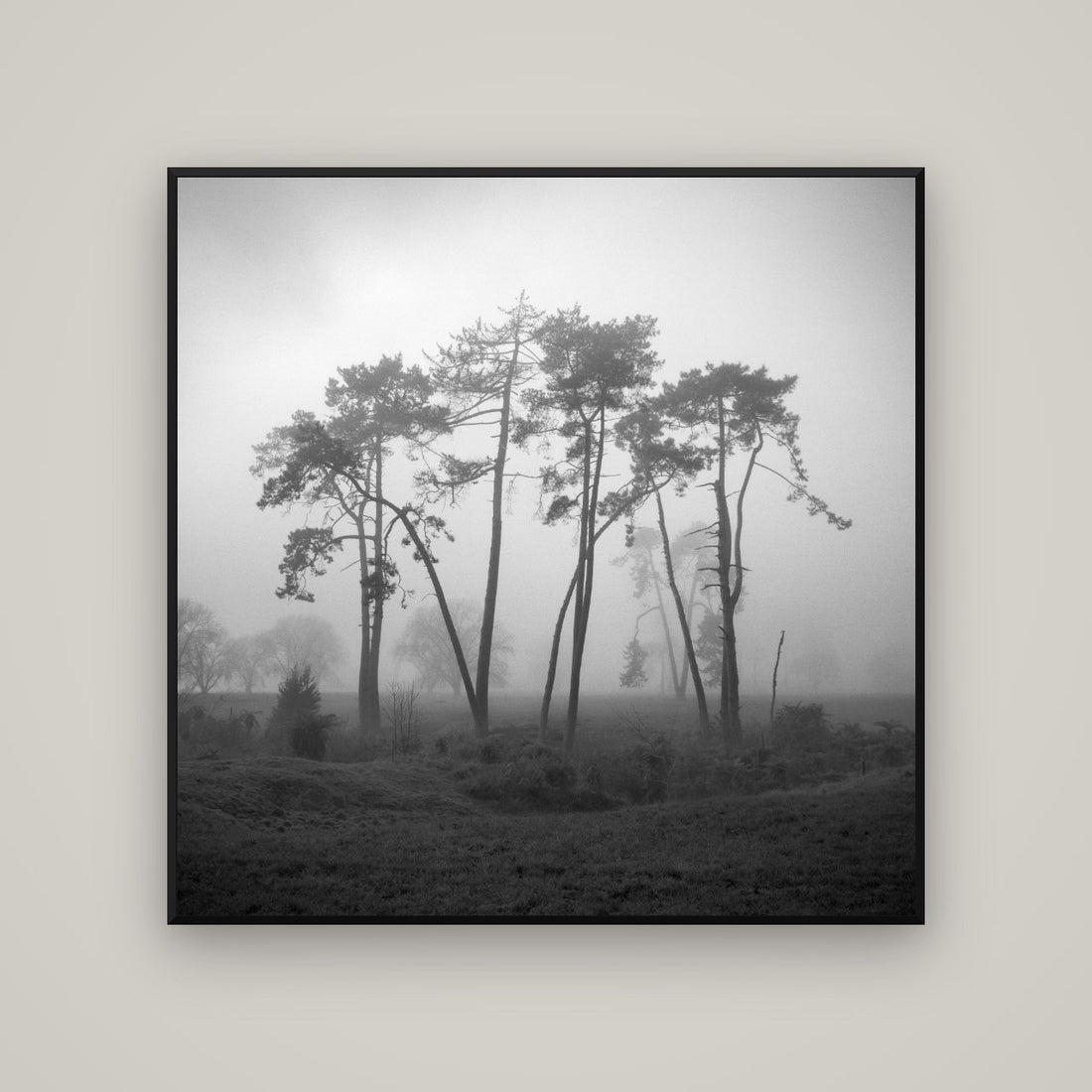 Wall Art Size Guide: How to Get It Right — WhiteWall framed fine art print by Stephen Milner.