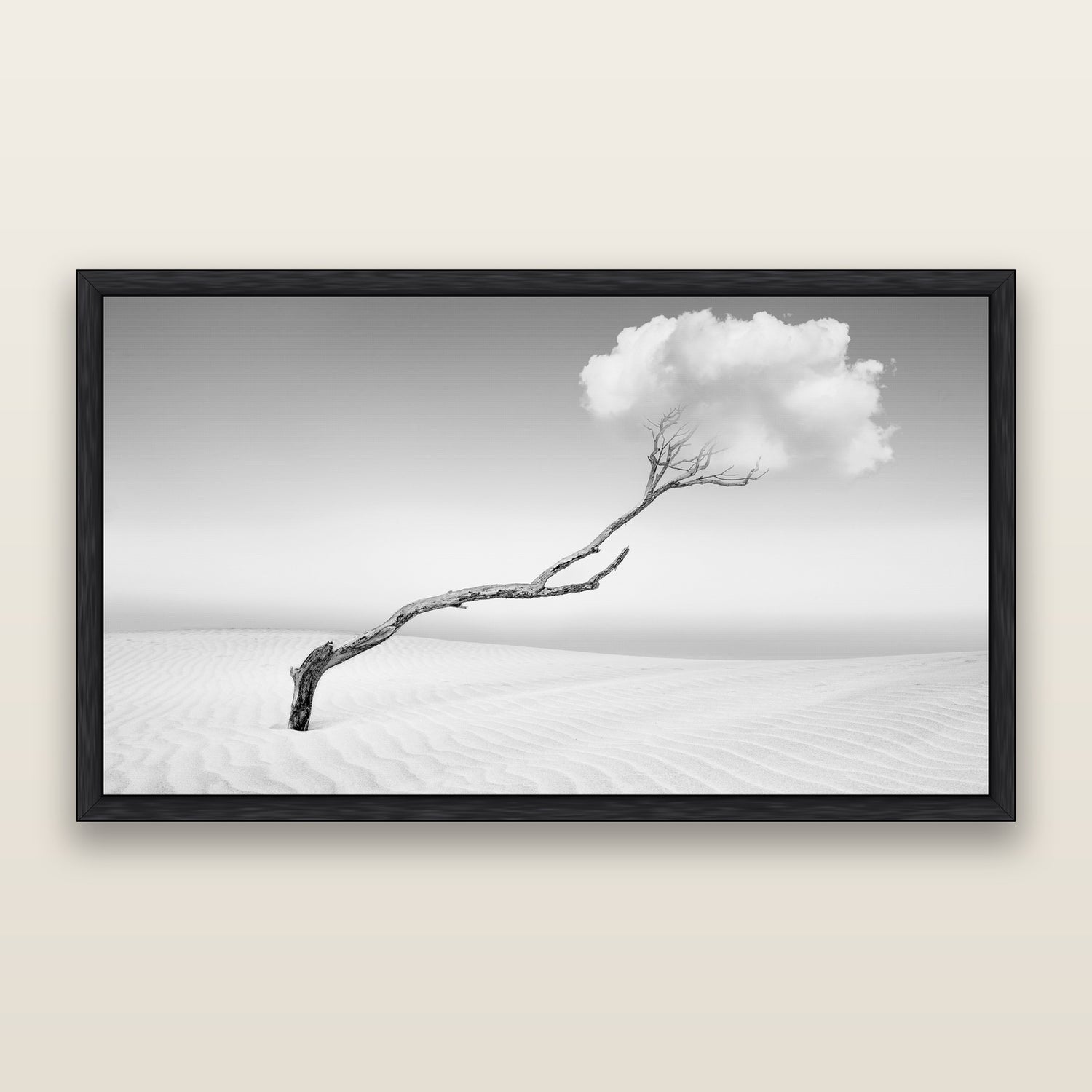 Stephen Milner New Zealand Landscape Photographer Artist Favourites