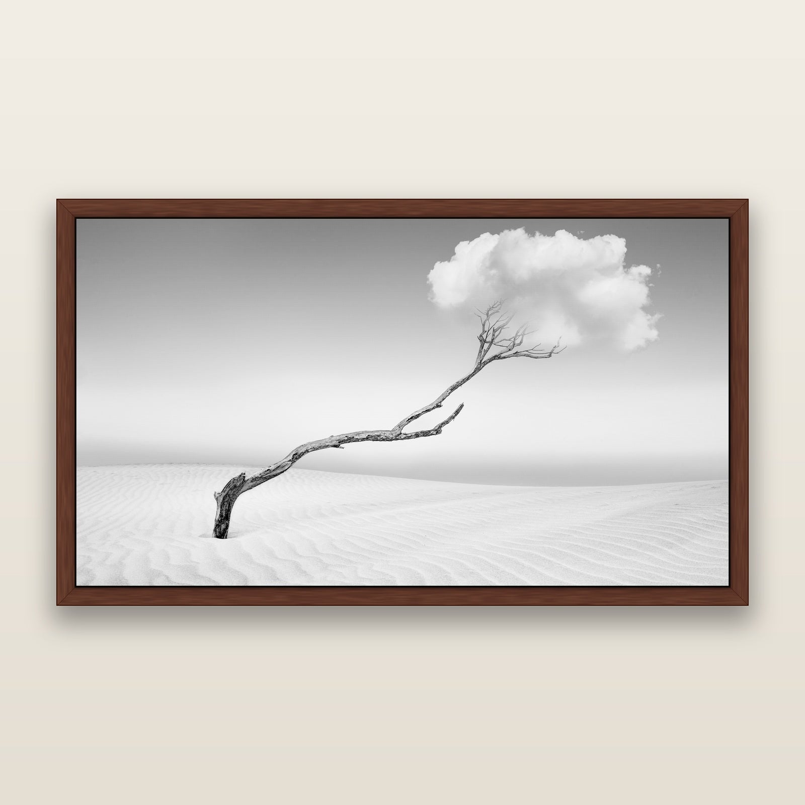 Award Winners — black and white fine art prints by Stephen Milner
