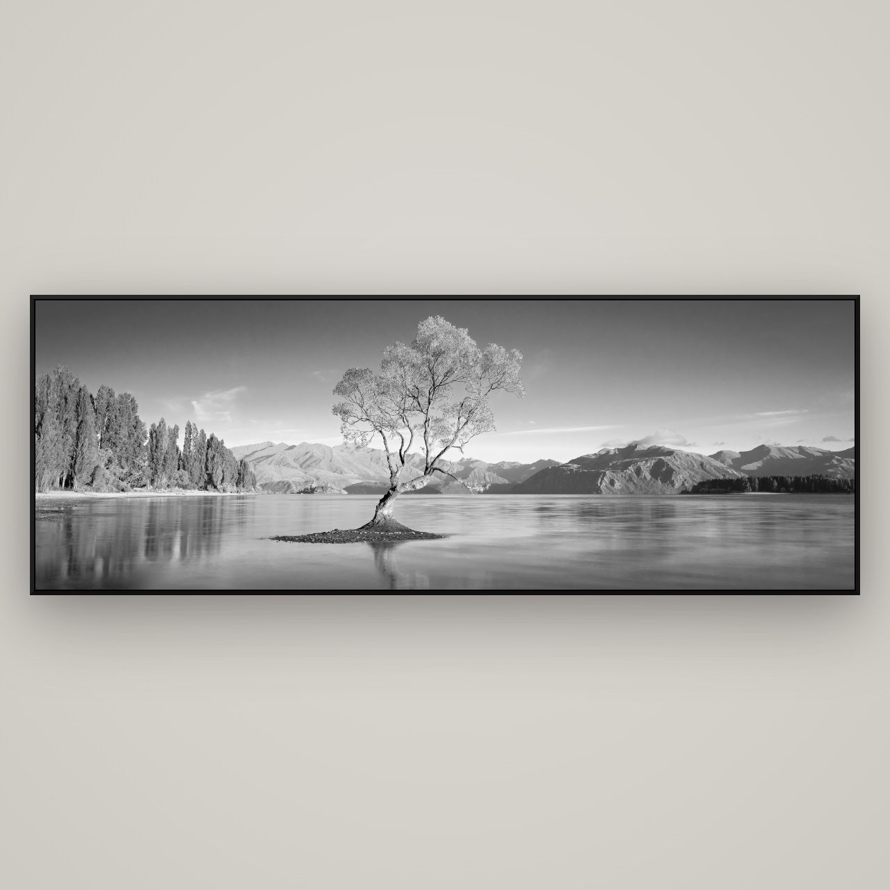 New Zealand Wall Art — black and white fine art prints by Stephen Milner