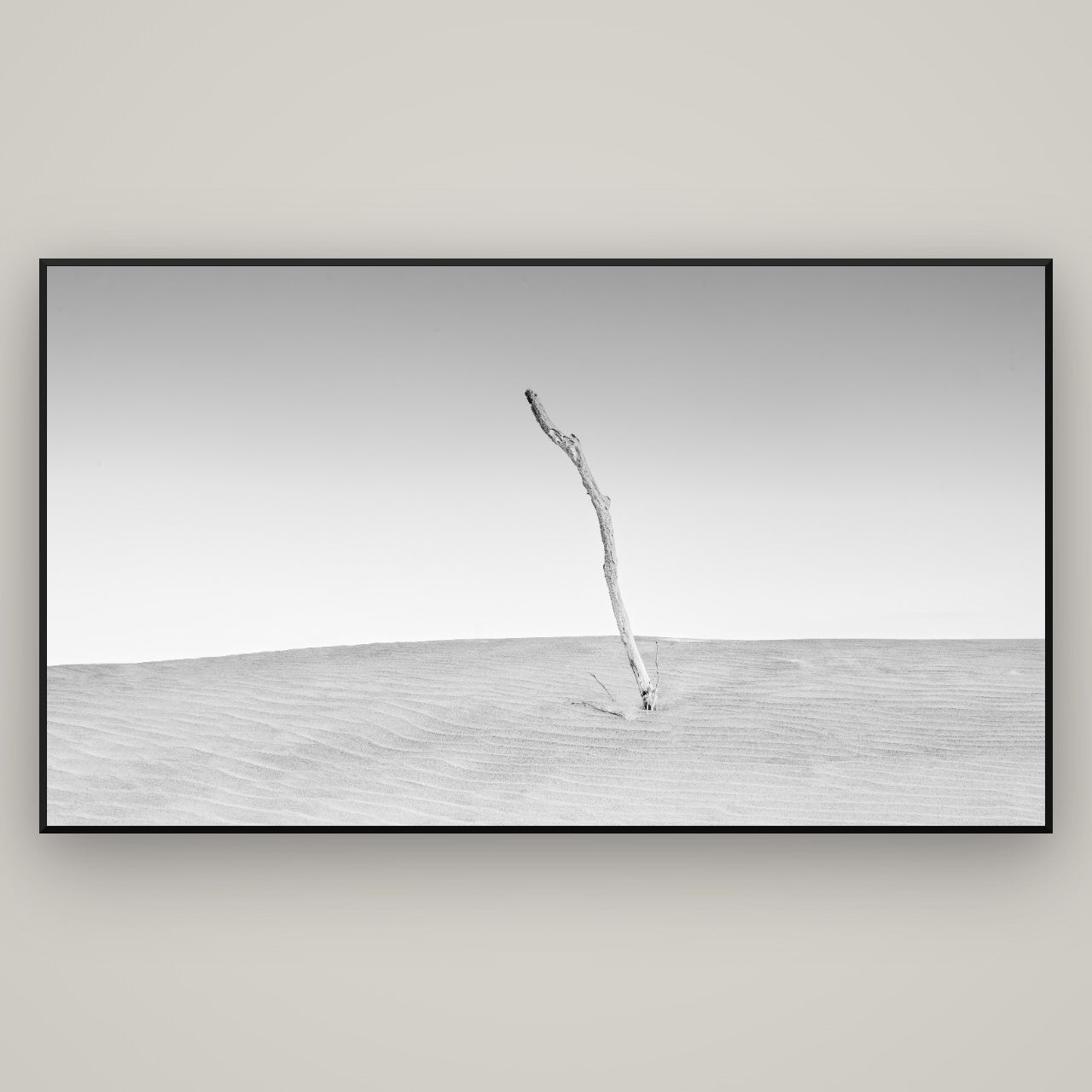 Award Winners — black and white fine art prints by Stephen Milner