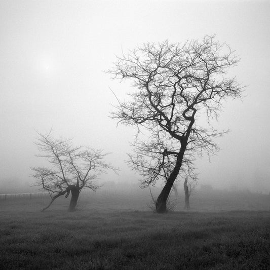 And Child - Waikato - by Award Winning New Zealand Landscape Photographer Stephen Milner