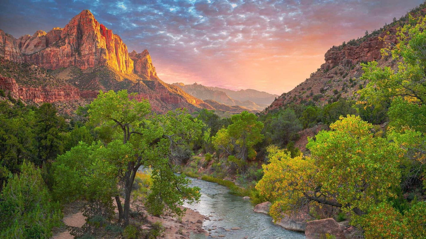 Autumn's Embrace: Sunset Over Zion's Golden Valley - Stephen Milner