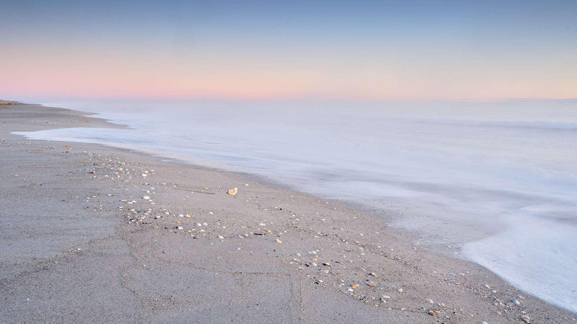 Coastal Dreams - Whakatāne - by Award Winning New Zealand Landscape Photographer Stephen Milner