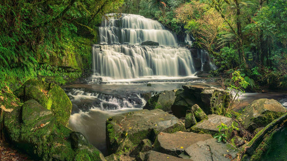 Elysian Serenity: Purakaunui Falls - by Award Winning New Zealand Landscape Photographer Stephen Milner
