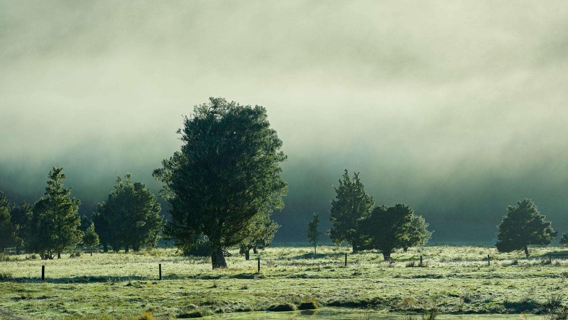 Emerald Mist - Fox Valley - by Award Winning New Zealand Landscape Photographer Stephen Milner