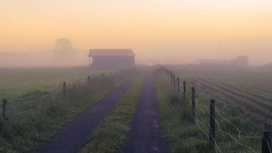 Field of Dreams - Waikato - by Award Winning New Zealand Landscape Photographer Stephen Milner