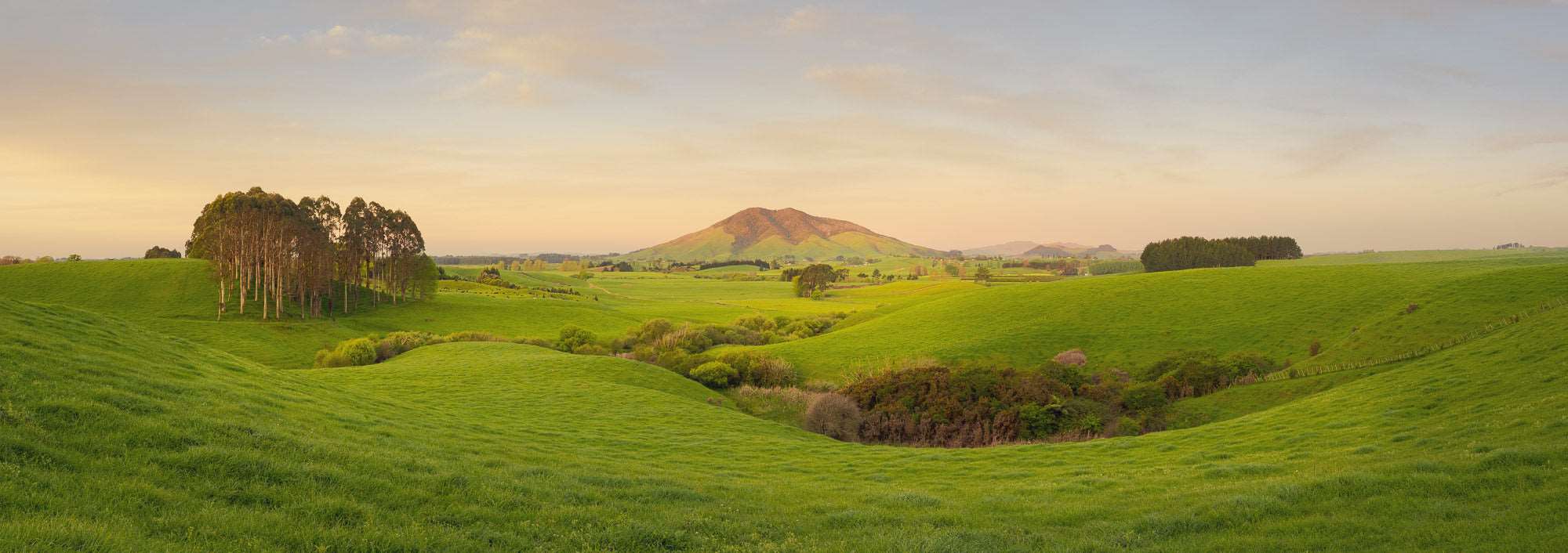 Fiery Fields - Mount Kakepuku - by Award Winning New Zealand Landscape Photographer Stephen Milner