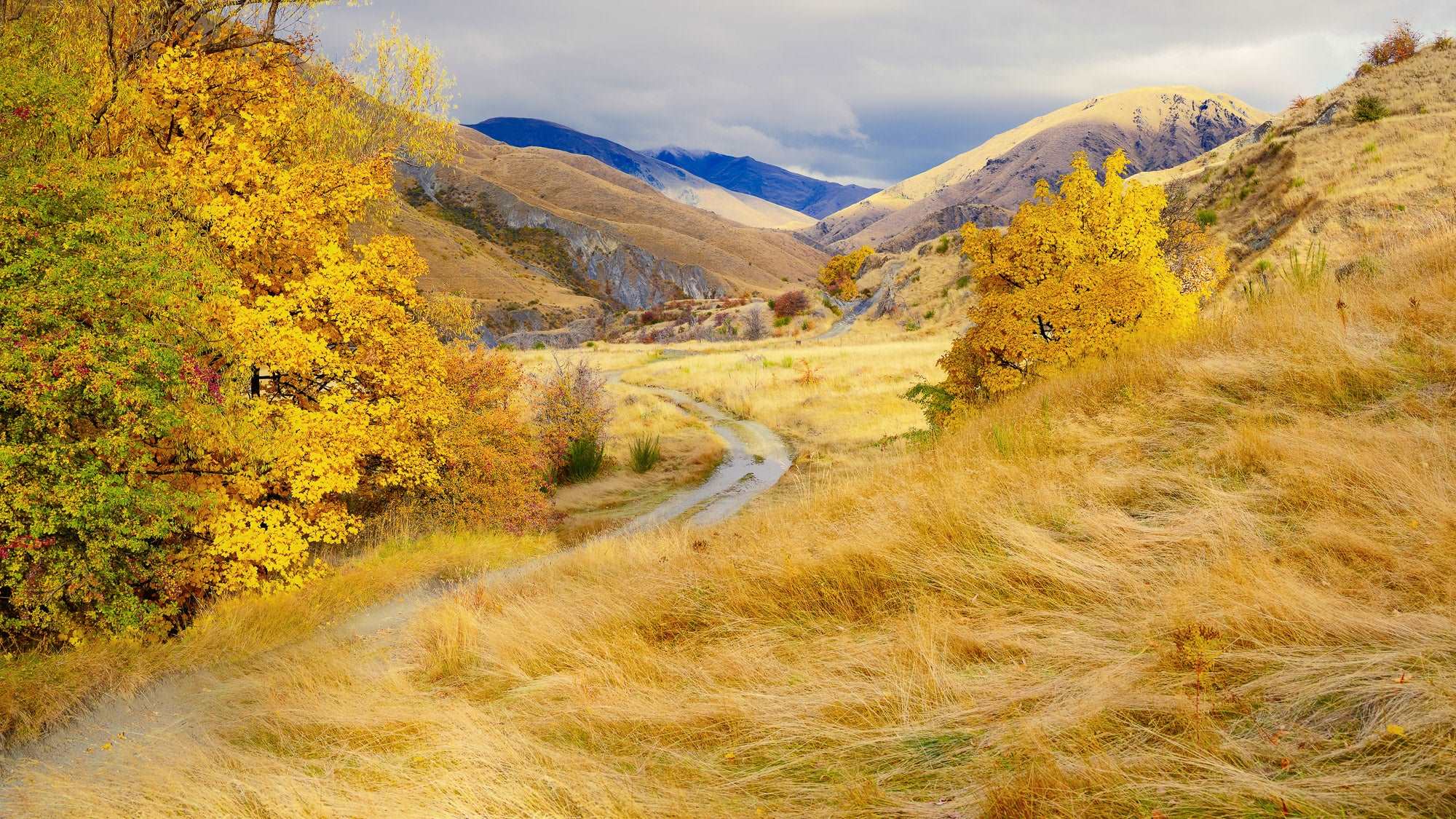 Gold Road - Macetown - by Award Winning New Zealand Landscape Photographer Stephen Milner