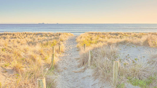 Golden Passage - Whakatāne - by Award Winning New Zealand Landscape Photographer Stephen Milner