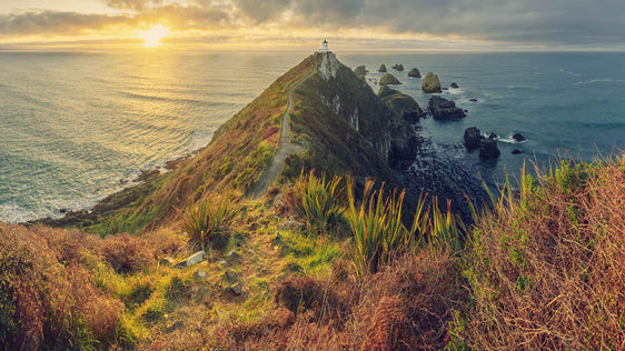 Guiding Light: Nugget Point Sunrise - by Award Winning New Zealand Landscape Photographer Stephen Milner