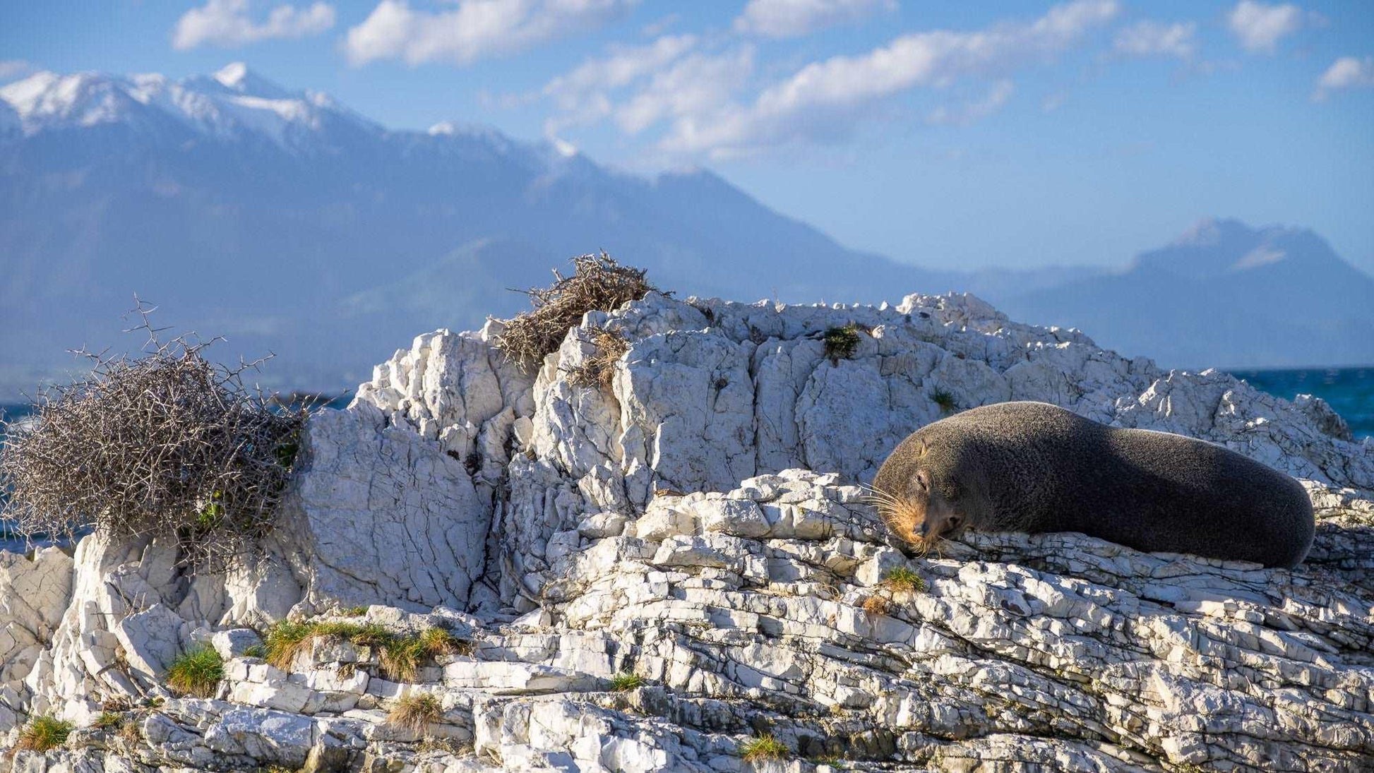 Limestone Lounging - Kaikōura - by Award Winning New Zealand Landscape Photographer Stephen Milner