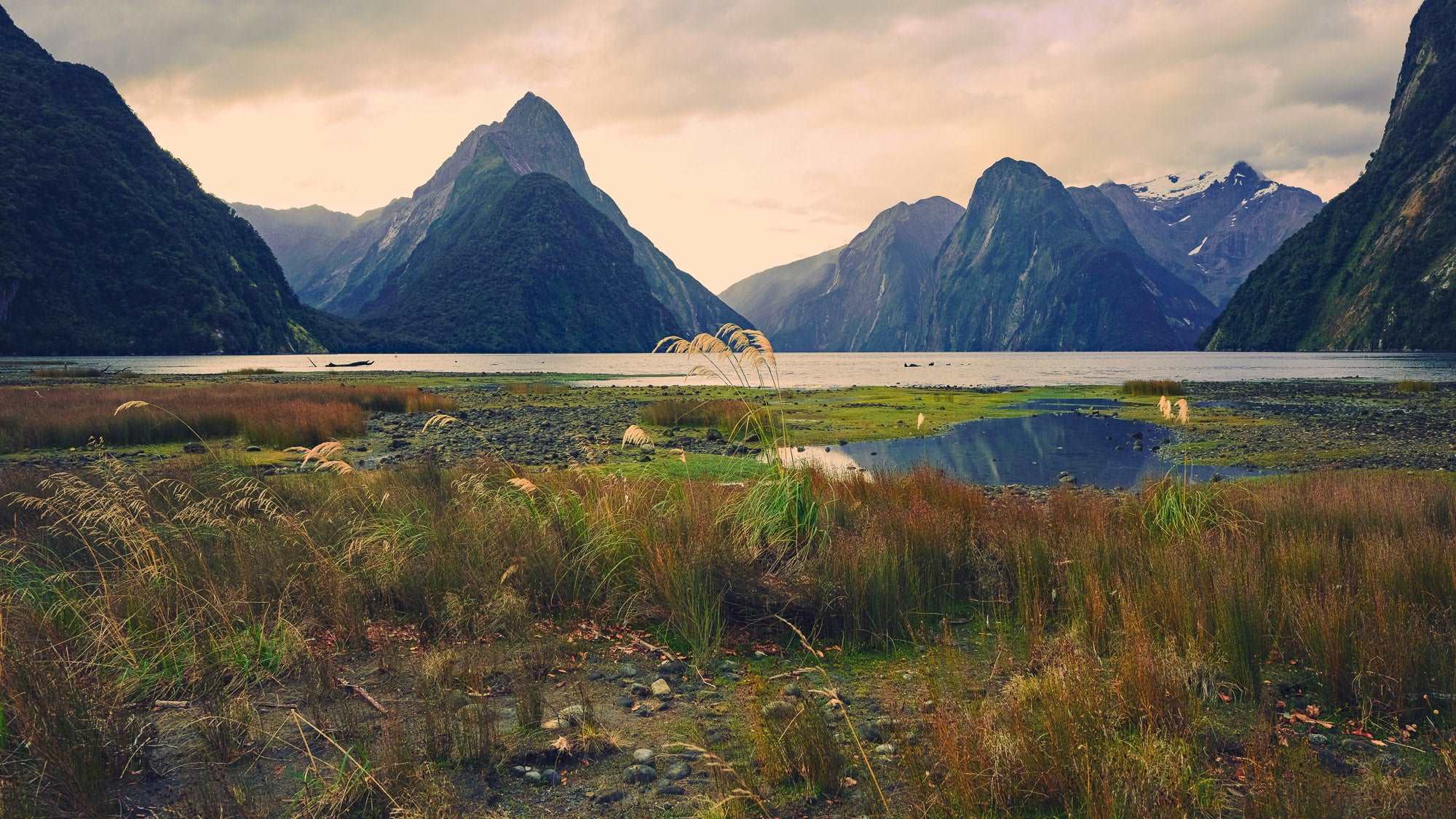 Majestic Mountains - Milford Sound - by Award Winning New Zealand Landscape Photographer Stephen Milner