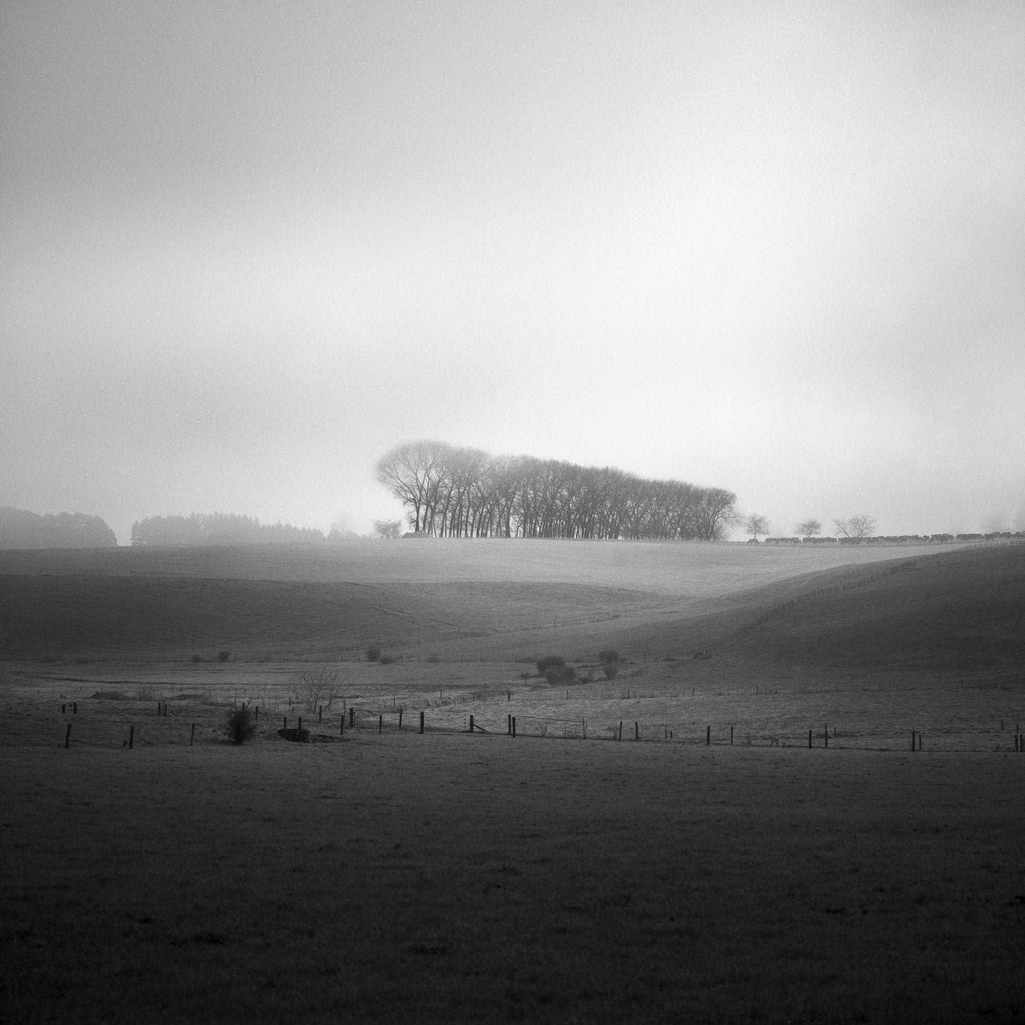 Misty Horizon - Waikato - by Award Winning New Zealand Landscape Photographer Stephen Milner