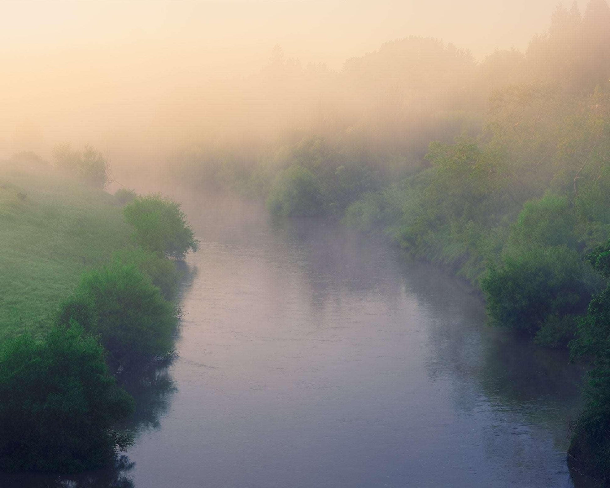 Nature's Awakening - Waikato - by Award Winning New Zealand Landscape Photographer Stephen Milner