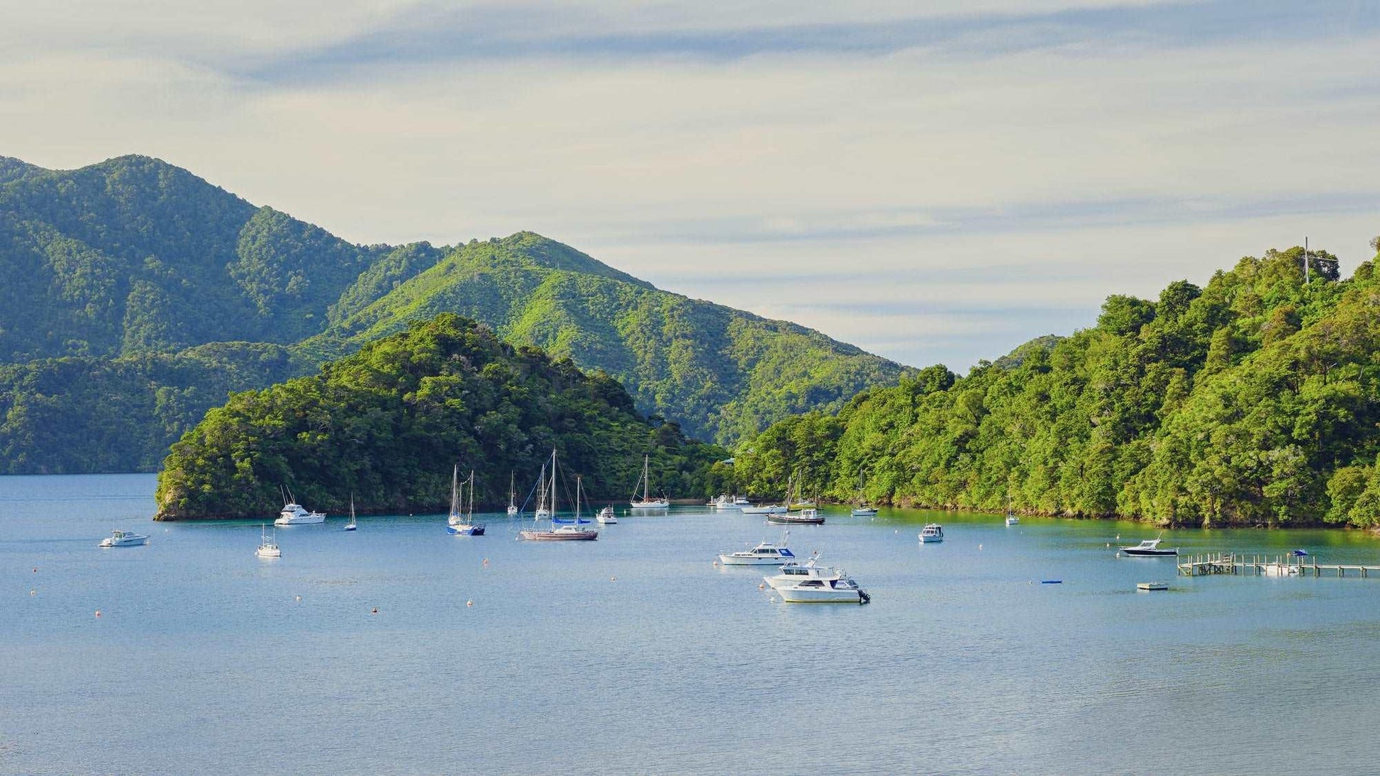 Nature's Harbour - Marlborough Sound - by Award Winning New Zealand Landscape Photographer Stephen Milner