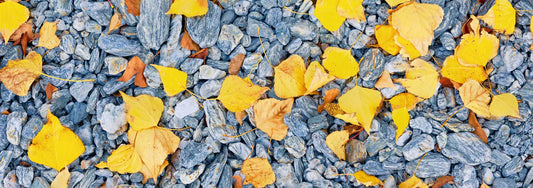 Natures Tapestry - Lake Wanaka - by Award Winning New Zealand Landscape Photographer Stephen Milner