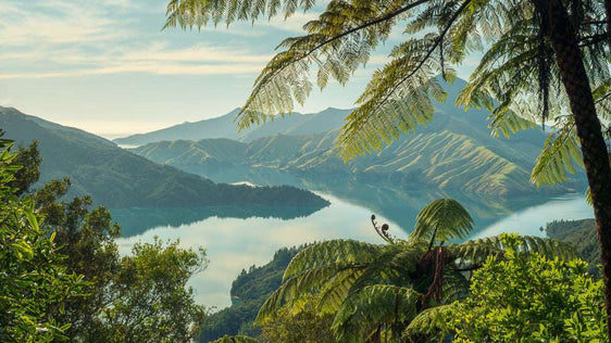 Nature's Window to Devils Staircase: Marlborough Sounds - by Award Winning New Zealand Landscape Photographer Stephen Milner