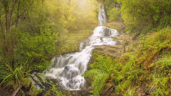 Radiance of Nature: McLean Falls - by Award Winning New Zealand Landscape Photographer Stephen Milner