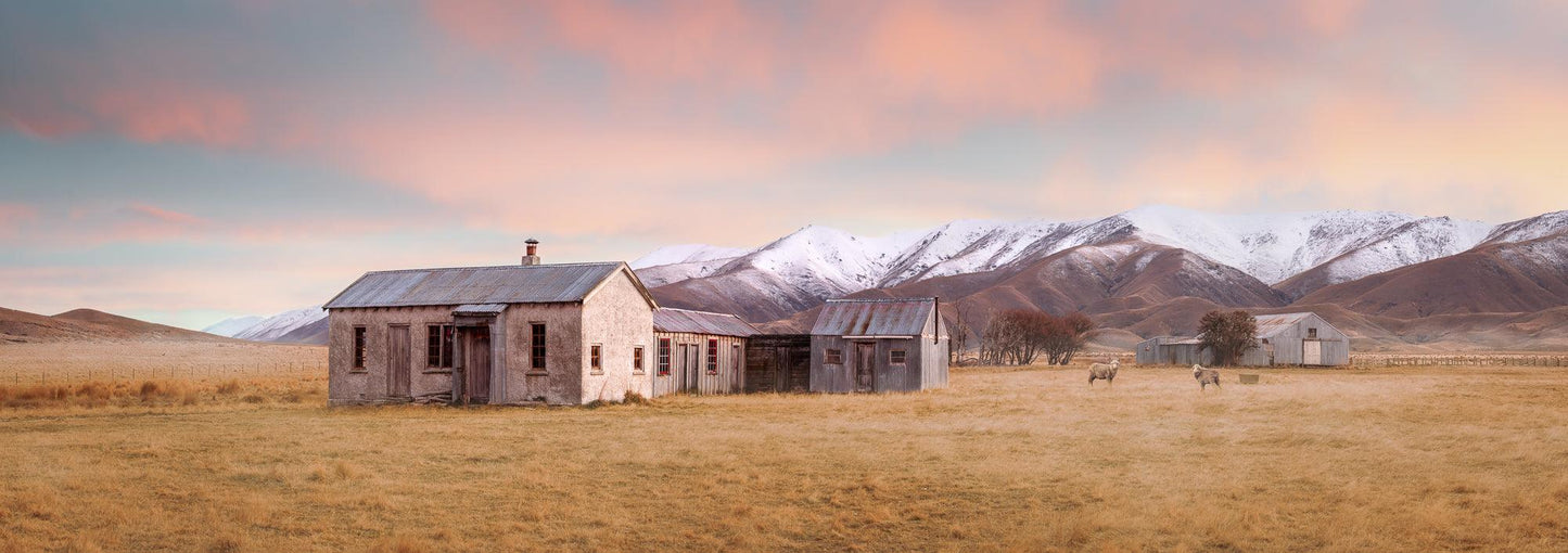 Resilience in Ruin: Echoes of a Forgotten Farm