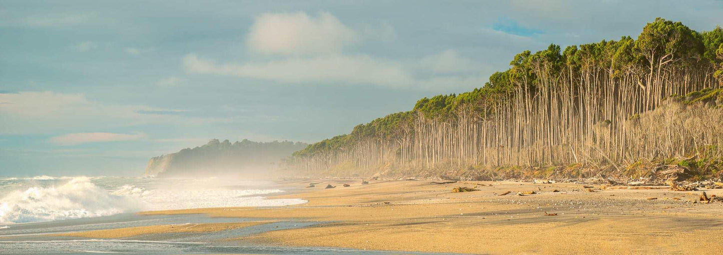 Rimu Rhythms: Bruce Bay's Wild Serenity - by Award Winning New Zealand Landscape Photographer Stephen Milner