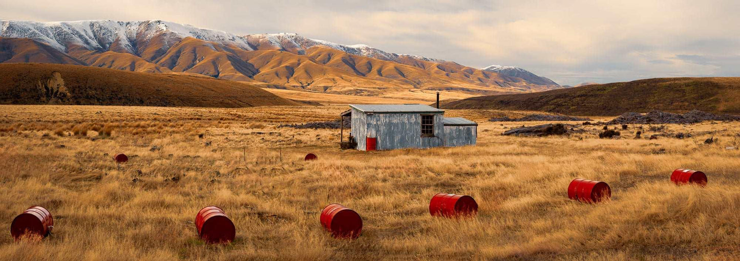 Solitude in the Wild: Red Barrels of Resilience