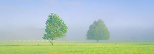 The Visible Divide - The Waikato - by Award Winning New Zealand Landscape Photographer Stephen Milner