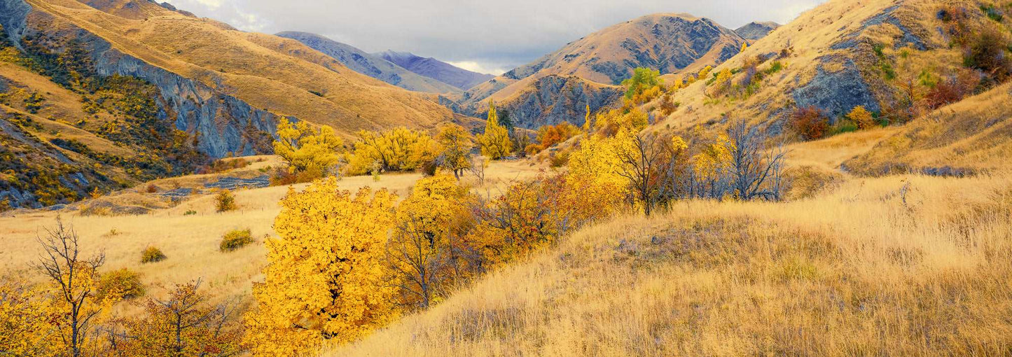 Valley Of Gold - Macetown - by Award Winning New Zealand Landscape Photographer Stephen Milner