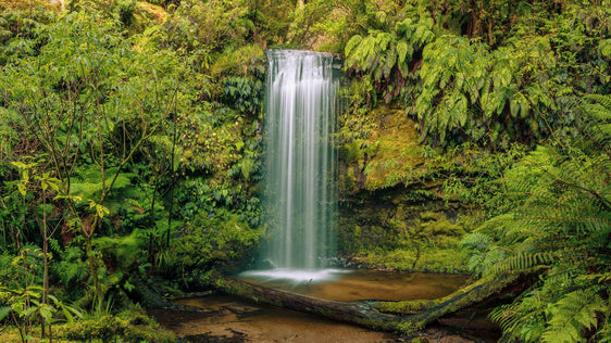 Veil of Serenity: Koropuku Falls - by Award Winning New Zealand Landscape Photographer Stephen Milner
