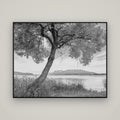 A Tree's Tale, Sunset at Lake Tarawera — Basel Black Matte, 150×120 cm. New Zealand fine art wall art by Stephen Milner.