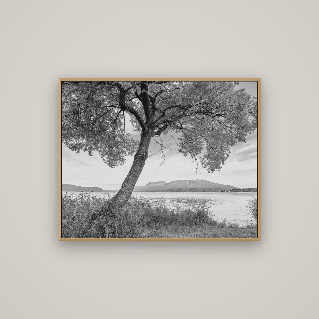 A Tree's Tale, Sunset at Lake Tarawera, Basel Natural Oak, 100×80 cm. New Zealand fine art wall art by Stephen Milner.