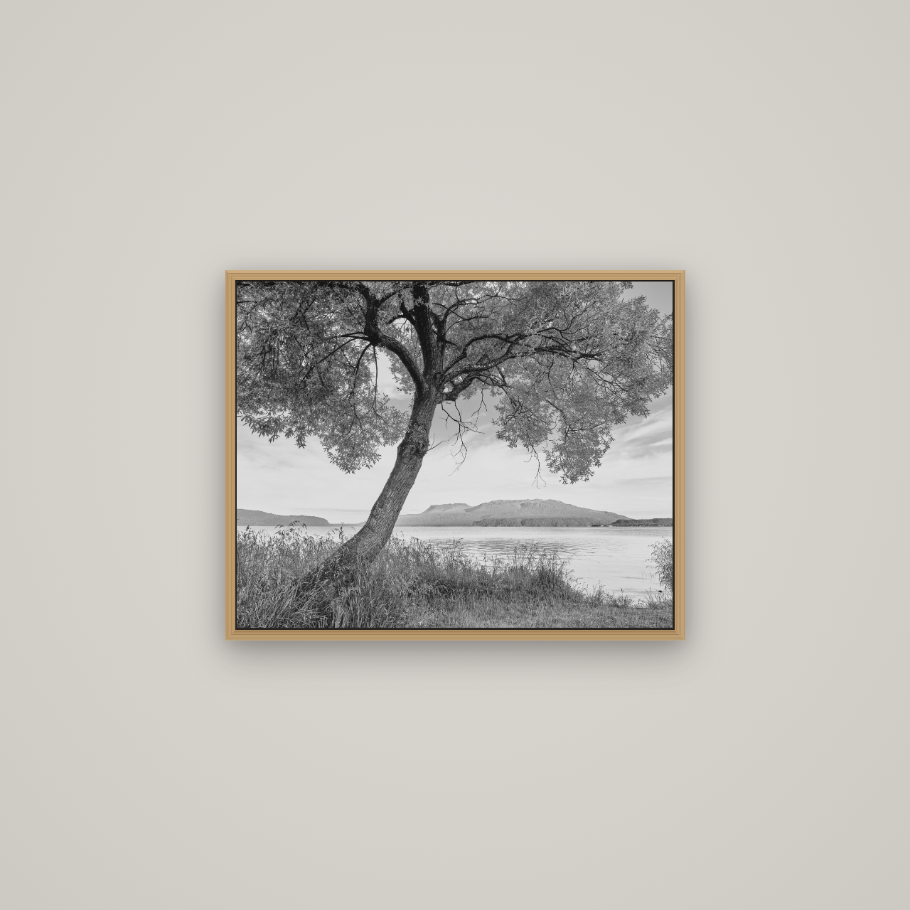 A Tree's Tale, Sunset at Lake Tarawera, Basel Natural Oak, 63×50 cm. New Zealand fine art wall art by Stephen Milner.