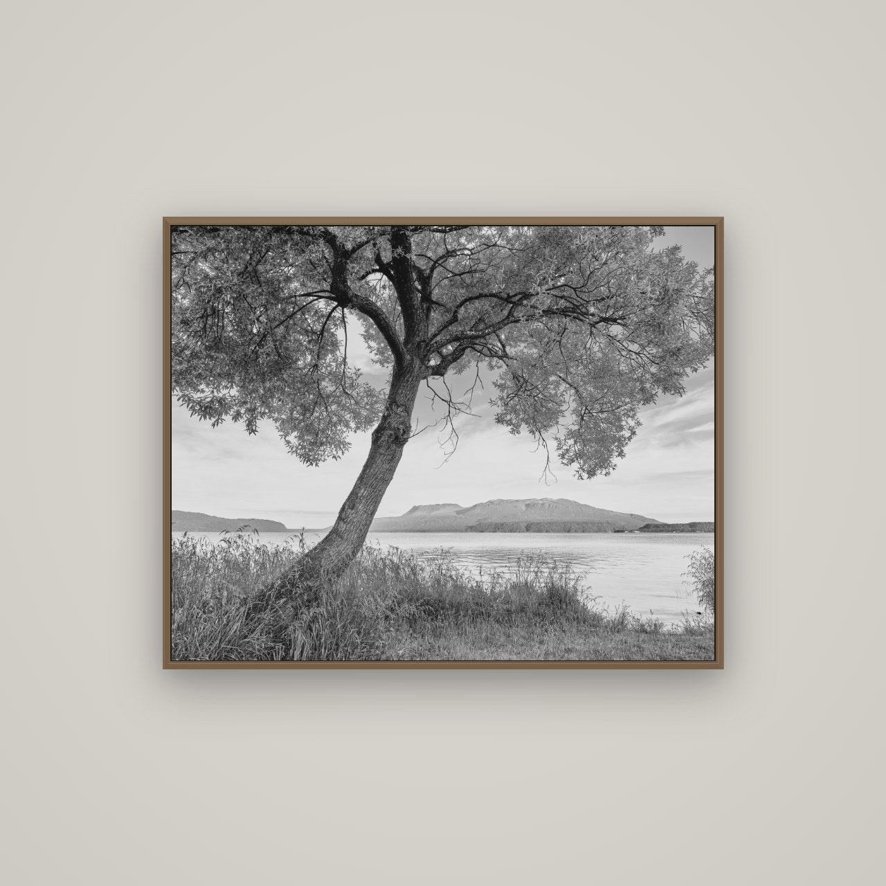 A Tree's Tale, Sunset at Lake Tarawera, Basel Walnut, 100×80 cm. New Zealand fine art wall art by Stephen Milner.