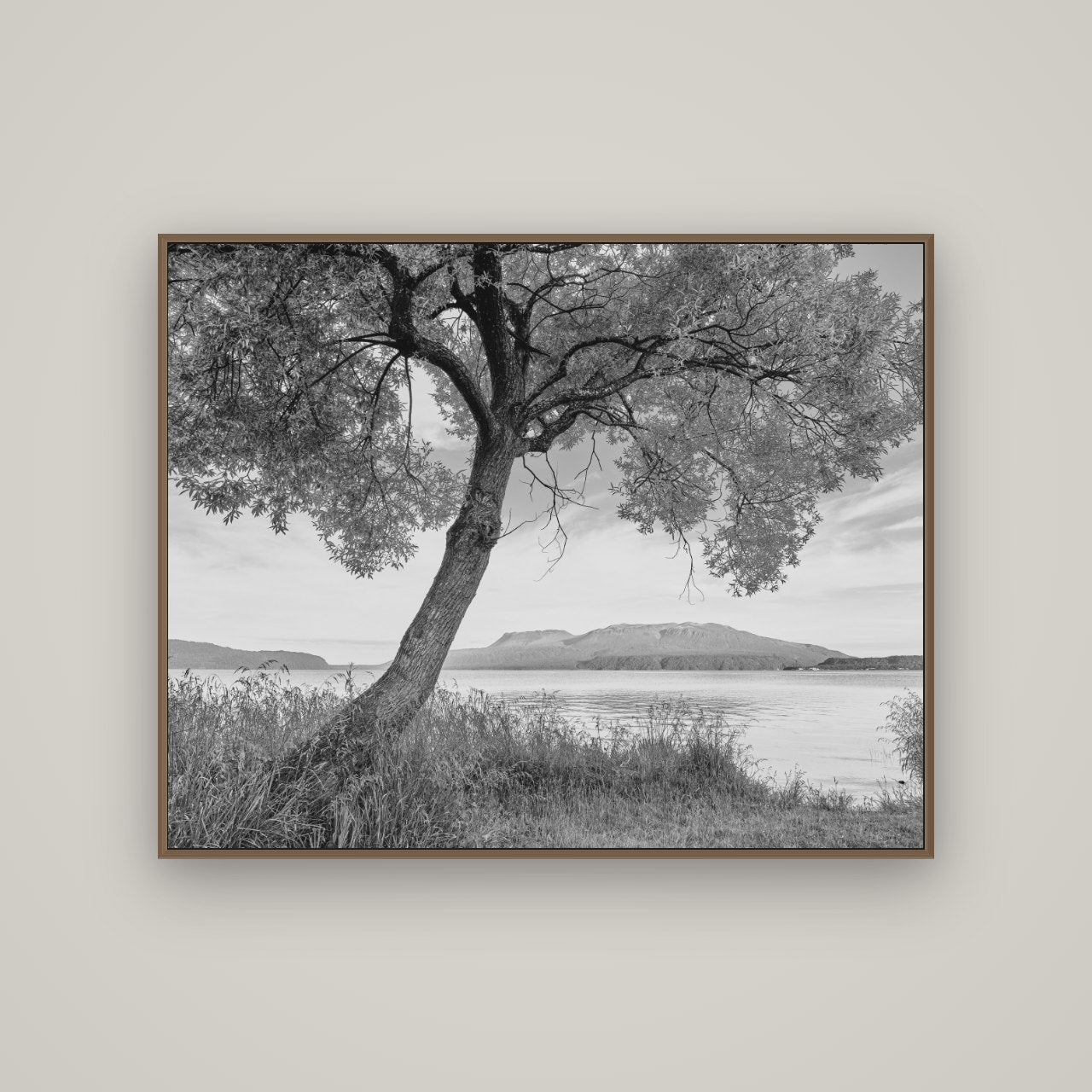 A Tree's Tale, Sunset at Lake Tarawera, Basel Walnut, 125×100 cm. New Zealand fine art wall art by Stephen Milner.