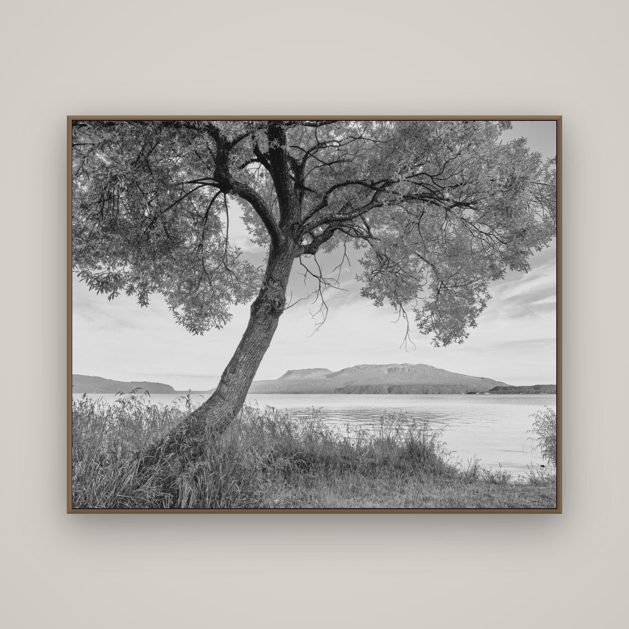 A Tree's Tale, Sunset at Lake Tarawera, Basel Walnut, 150×120 cm. New Zealand fine art wall art by Stephen Milner.