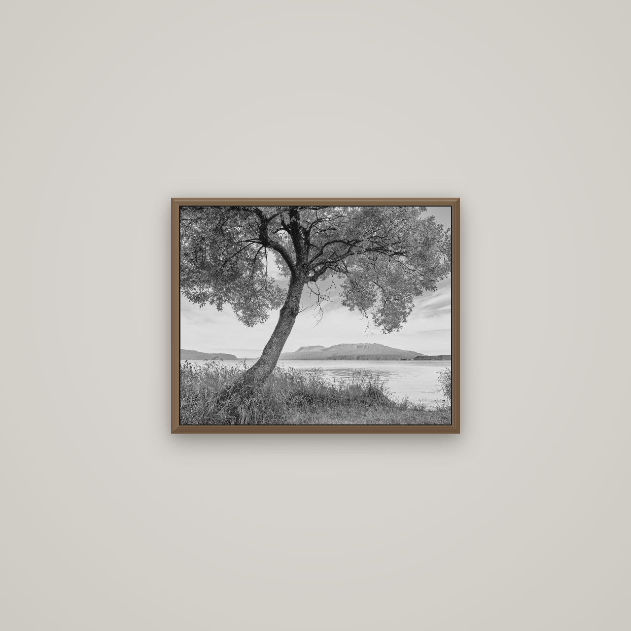 A Tree's Tale, Sunset at Lake Tarawera, Basel Walnut, 51×41 cm. New Zealand fine art wall art by Stephen Milner.
